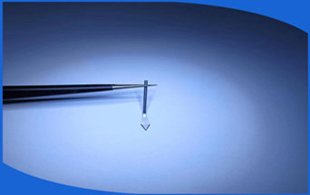 1700623196128292.jpg mtw-81270736_副本.jpg